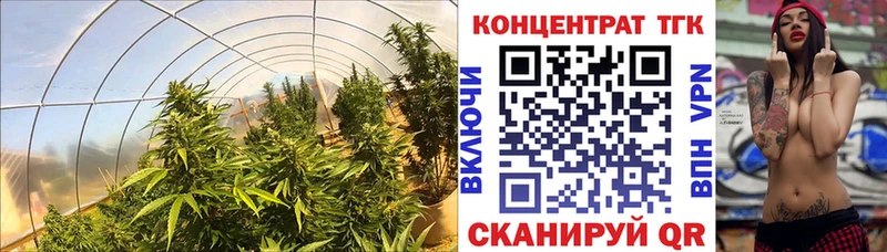 ТГК Wax  закладки  Мегион 