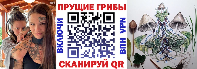 blacksprut ТОР Мегион Псилоцибиновые грибы мухоморы