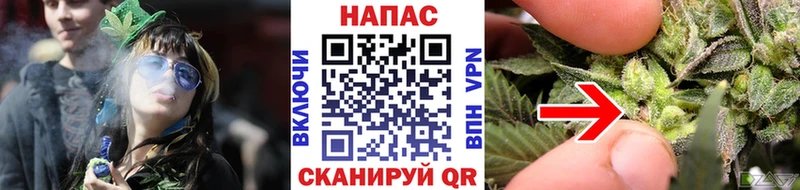 Бошки марихуана SATIVA & INDICA  Мегион 